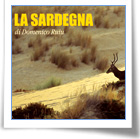 Quarto appuntamento della rassegna 'Obiettivo Sardegna'