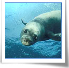 Al Teatro Civico una rassegna di documentari 