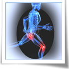 Sport: un convegno sulle patologie degenerative