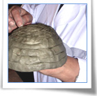 Laboratori didattici per le scuole