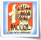 'Bacco!! ...cosa non sappiamo' al Carnevale ozierese
