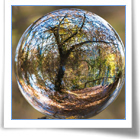 Festival. Terra. Il luogo del nostro abitare 2018