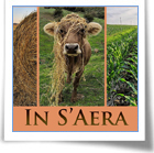 In S'aera - Paesaggi rurali e donne pastore