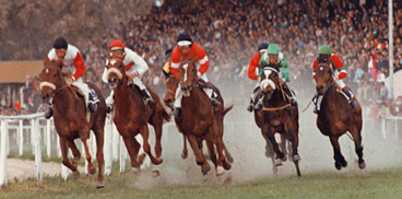 Parte la nuova gestione dell Parte la nuova gestione dell