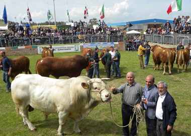 Fiera di Ozieri 2015