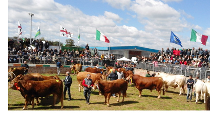 Fiera di Ozieri 2017