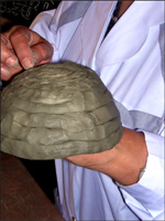 Attività didattiche